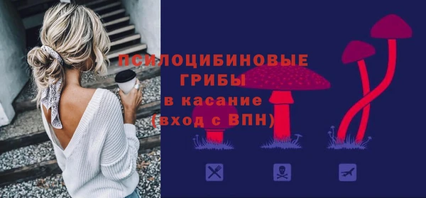 ALPHA PVP Новодвинск